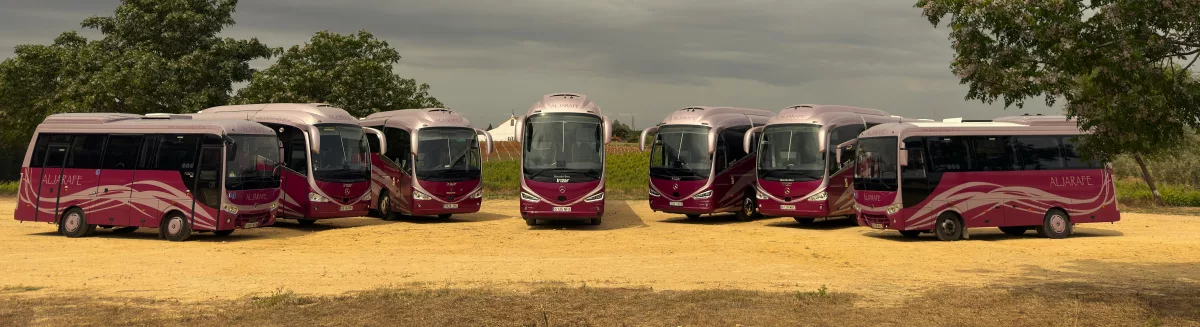 La empresa Alquiler de autobuses en Sevilla